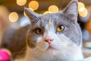 索尼宣布PSVR2将于2023年初发售